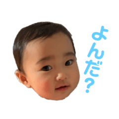 あおちゃんのゆるゆる日常