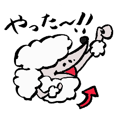 Tamuのほくろプードル