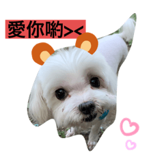 ChiChi_20200517231901