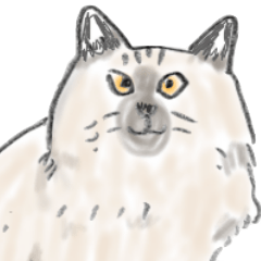 猫がたくさん！