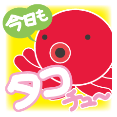 今日もタコちゅ〜