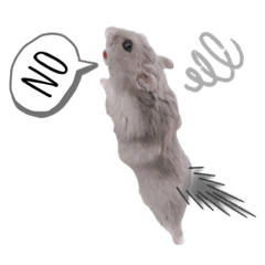 ハムスターくるみ