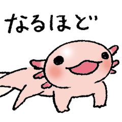 うーぱーるーぱ