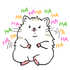 トミー・ウルフ２