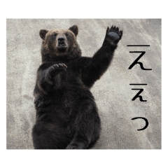 ほのぼの写真で一言スタンプ