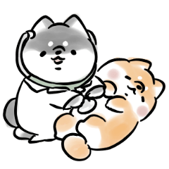 健康を気づかう犬