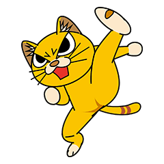 猫空手(師匠編)