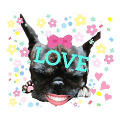 フレブル イヴの言葉