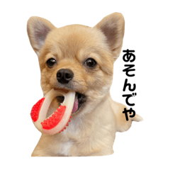 chiwapome_racuのオリジナルLINEスタンプ2