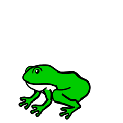 可愛い動くカエル