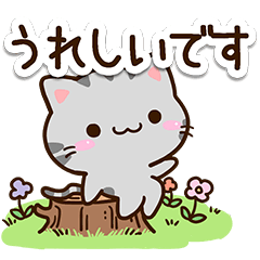 小さいアメショ