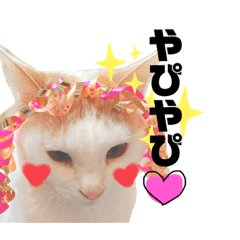 ぬこぬこワールド