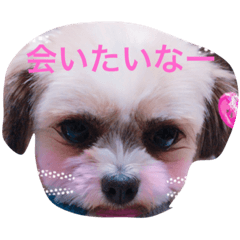 わんわんふらん