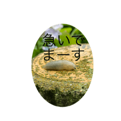 虫好きのための普段使い出来るスタンプ