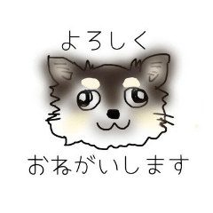 チワワのあっちゃん2イラスト編