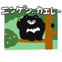動く！野生のまーくん