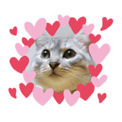 はなはな♡♡♡スタンプ