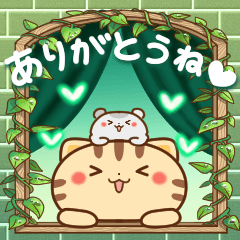 飛び出す♪ネコちゃん ハムちゃん