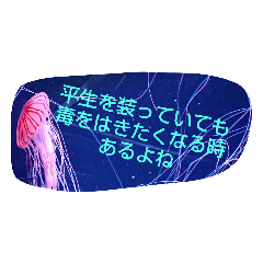 海の生き物ocean