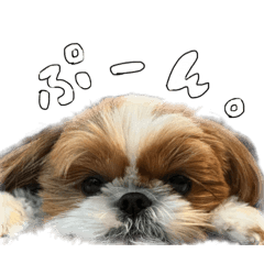 ぽろんだよ。その2