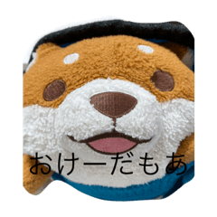 ドクターもあを、きみのそばに