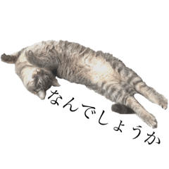 リラさんのスタンプ