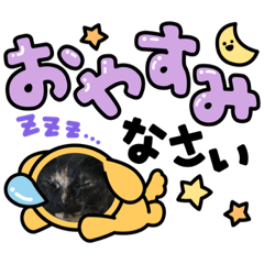 表情が面白い猫のスタンプ