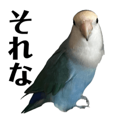 ブルーのコザクラインコのスタンプ