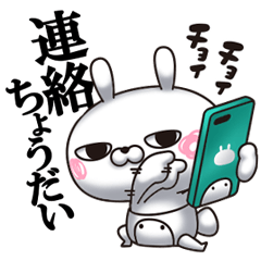 ひとえうさぎ63(連絡編)