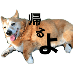 ころ&ふう　その1