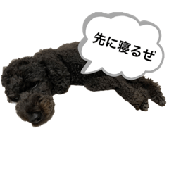 黒佑（こーすけ）