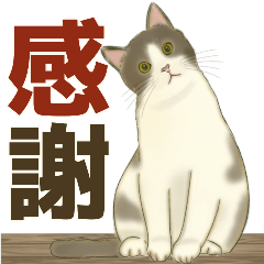 ありがとうの宝箱❤️モフ猫連合❤️BIG