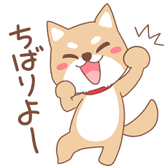 柴犬(豆柴)兄妹の沖縄弁(うちなーぐち)