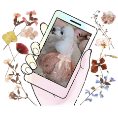 我が家のフラッフィー Part2