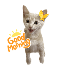 そあすたんぷ②