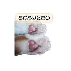 にゃんとぽこ・スタンプ