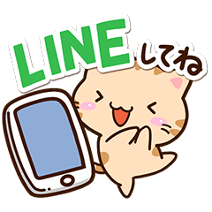 毎日便利☆小さいトラネコ