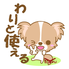 わんこ日和(パピヨン)③-toYvu-