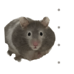 ハムスターの毎日カスタムスタンプ