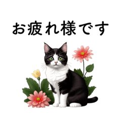 ハチワレとお花♡丁寧で毎日使いやすい