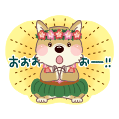 アロハなしばいぬ3