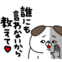 全力いぬ信用できない編