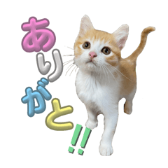 むぎandまやとスタンプ