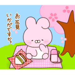 物腰柔らかうさぎ♡春♡敬語(！16個！)