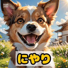 もふもふわんこw