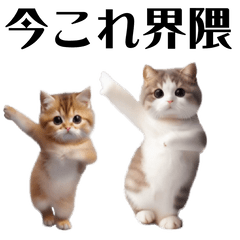 踊る！今これにゃんこ