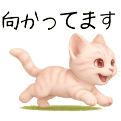 推し猫【桃】………………….