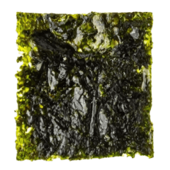 海苔や海藻　実写