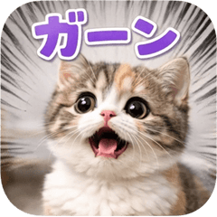 とびだす★ねこちゃんの日常♪