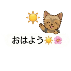 吹き出しに隠れたヨークシャテリア